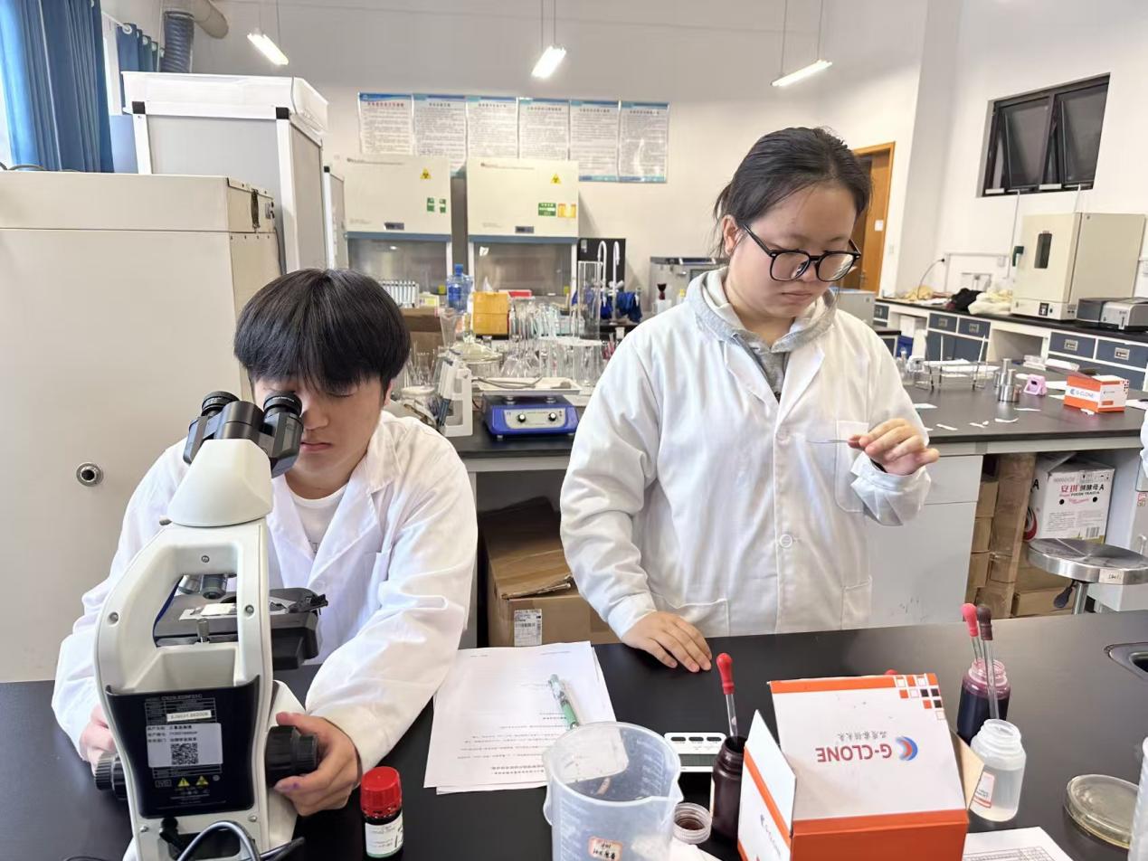 b52eba97-a3f3-47c3-869b-41bc0a8e850cimage3.jpeg b52eba97-a3f3-47c3-869b-41bc0a8e850cimage3.jpeg